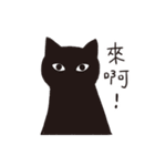 The life of cats（個別スタンプ：5）