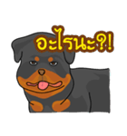 Sumlee The Dog（個別スタンプ：5）