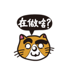 Thick eyebrows 2/cat（個別スタンプ：10）