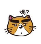 Thick eyebrows 2/cat（個別スタンプ：21）