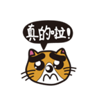 Thick eyebrows 2/cat（個別スタンプ：26）