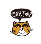 Thick eyebrows 2/cat（個別スタンプ：40）