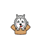 So qute Husky（個別スタンプ：4）