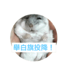 I love Hamster Baby（個別スタンプ：2）