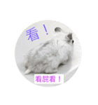 I love Hamster Baby（個別スタンプ：6）