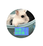 I love Hamster Baby（個別スタンプ：7）