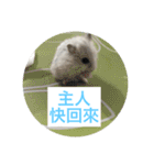 I love Hamster Baby（個別スタンプ：18）