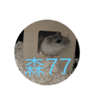 I love Hamster Baby（個別スタンプ：21）