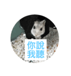 I love Hamster Baby（個別スタンプ：22）