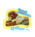 Ally ＆ Aaron for Family（個別スタンプ：13）