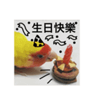 PeanutBuCha（個別スタンプ：24）