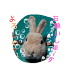 animal pompon (2)（個別スタンプ：1）