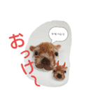 animal pompon (2)（個別スタンプ：5）