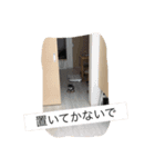 小太郎と書いてコタらしい。（個別スタンプ：15）