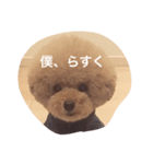 I am Rusk ！（個別スタンプ：1）