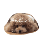 I am Rusk ！（個別スタンプ：3）