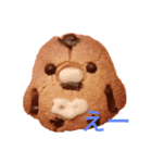 chip＆cookie（個別スタンプ：7）