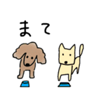 猫と犬たち（個別スタンプ：25）