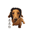 Dog be good（個別スタンプ：7）