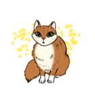 Panko cat（個別スタンプ：1）