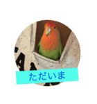 小動物たち（個別スタンプ：2）