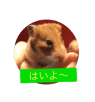 小動物たち（個別スタンプ：9）