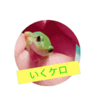 小動物たち（個別スタンプ：15）