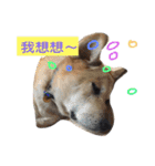 Wow wow dogs (2)（個別スタンプ：4）