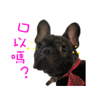 French Bulldog NP fragrancy（個別スタンプ：10）