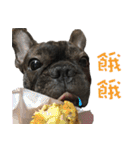 French Bulldog NP fragrancy（個別スタンプ：15）