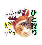 【なまねこ】生意気な猫（個別スタンプ：21）