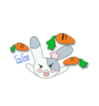 CHABA rabbit（個別スタンプ：3）