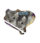 cute hamster17（個別スタンプ：4）