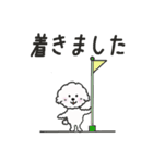 白いモフモフ犬ルナ（デカ文字日常）（個別スタンプ：11）