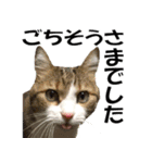 銀次クンとゆかいな仲間たち（個別スタンプ：10）