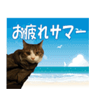 銀次クンとゆかいな仲間たち（個別スタンプ：19）