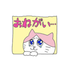 猫の桃村くん（個別スタンプ：27）