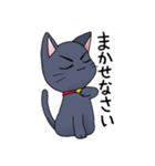 キリッとくろねこ（個別スタンプ：18）