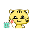 cute striped cat is coming（個別スタンプ：14）