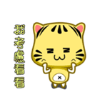 cute striped cat is coming（個別スタンプ：31）