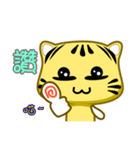 Small cute striped cat show time.（個別スタンプ：14）