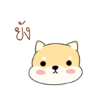 Chiba is pokerface dog（個別スタンプ：10）