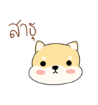 Chiba is pokerface dog（個別スタンプ：25）