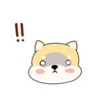 Chiba is pokerface dog（個別スタンプ：26）