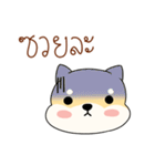 Chiba is pokerface dog（個別スタンプ：27）