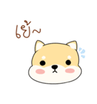 Chiba is pokerface dog（個別スタンプ：34）