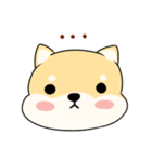 Chiba is pokerface dog（個別スタンプ：38）