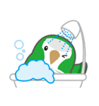 Parrot Piece-funky（個別スタンプ：24）