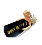 我が家の爬虫類 【敬語編】（個別スタンプ：15）