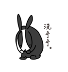 EnChiou Rabbit（個別スタンプ：11）